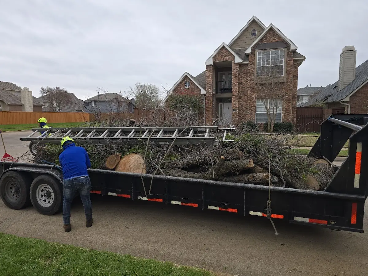 Expert Tree Fertilization with proper safety equipment in Ivy